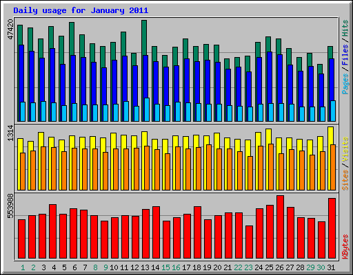 Daily usage for January 2011