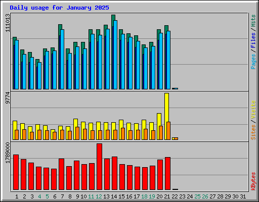 Daily usage for January 2025