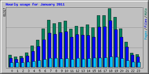 Hourly usage for January 2011