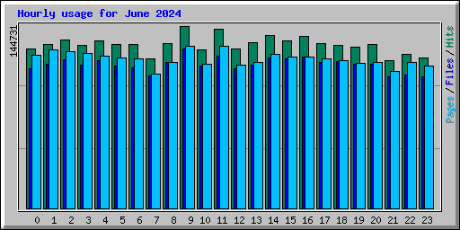 Hourly usage for June 2024