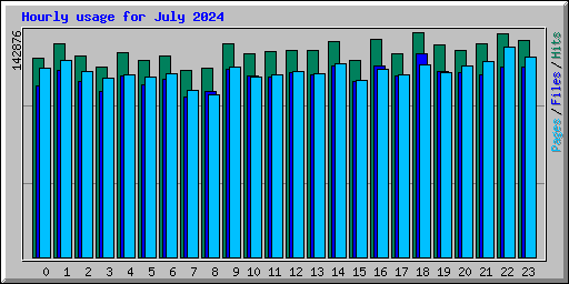 Hourly usage for July 2024