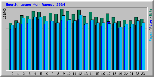 Hourly usage for August 2024