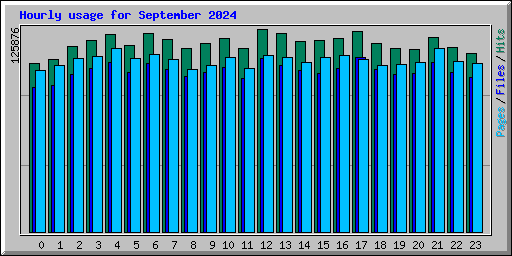 Hourly usage for September 2024