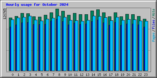 Hourly usage for October 2024