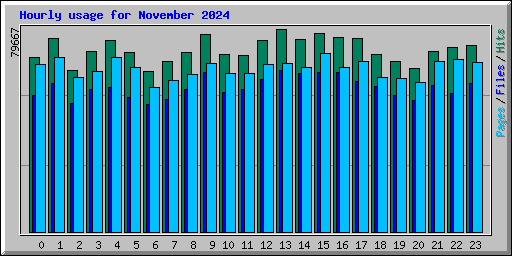 Hourly usage for November 2024