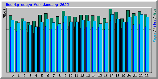 Hourly usage for January 2025