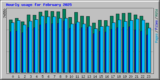 Hourly usage for February 2025