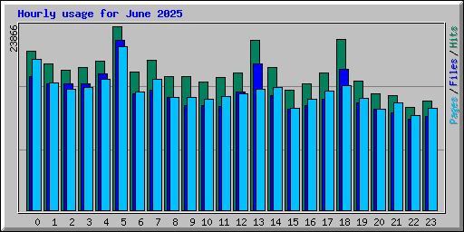 Hourly usage for June 2025