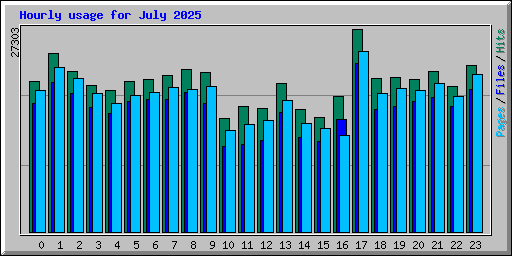 Hourly usage for July 2025