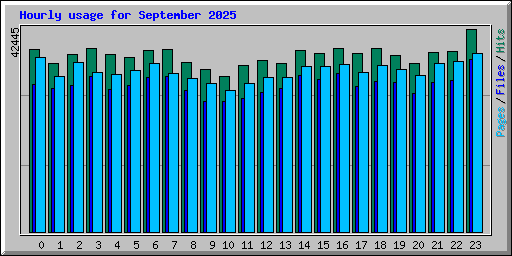 Hourly usage for September 2025