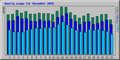 Hourly usage for December 2025