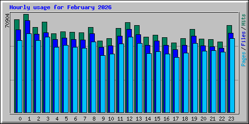 Hourly usage for February 2026