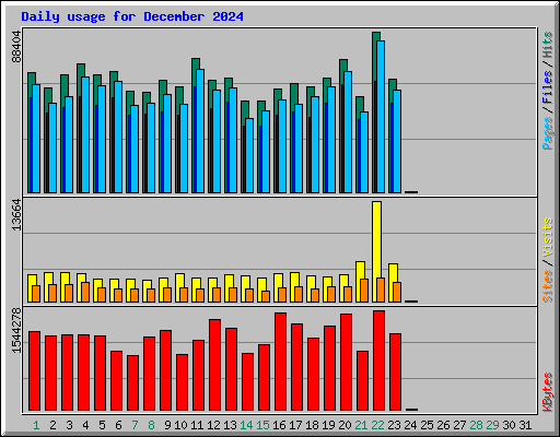 Daily usage for December 2024