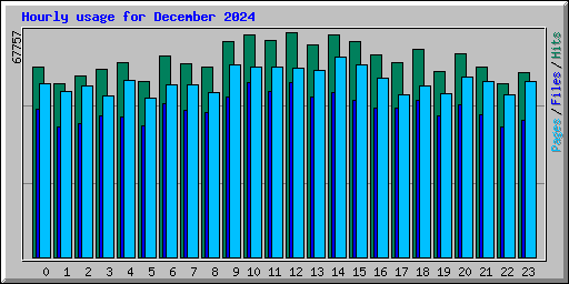 Hourly usage for December 2024